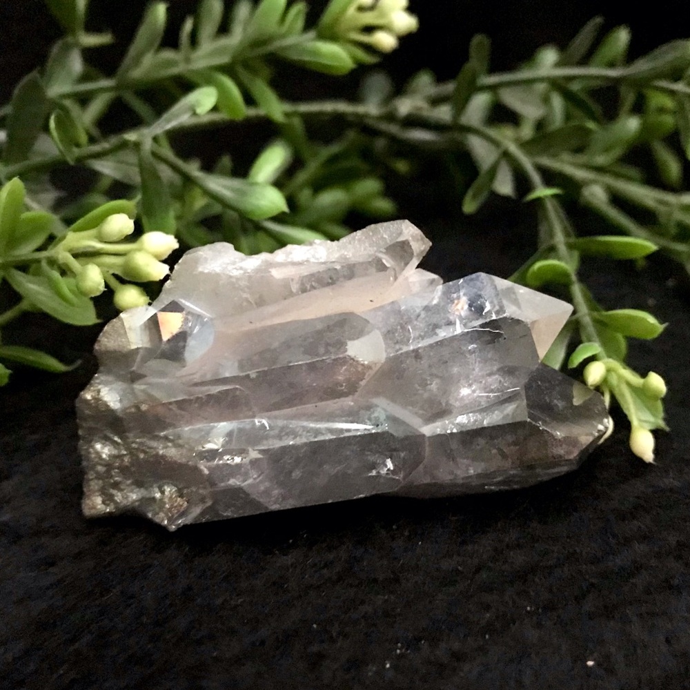 Lavender Aura Cluster